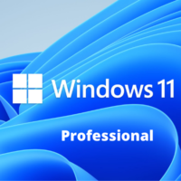 Microsoft Windows 11 Professional 32/64-bit Activation Product Key